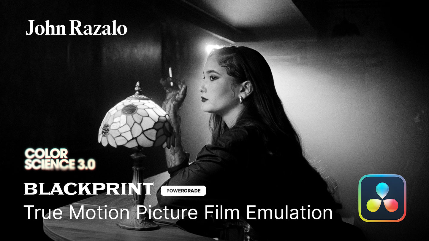 BlackPrint B&W Film Emulation PowerGrade