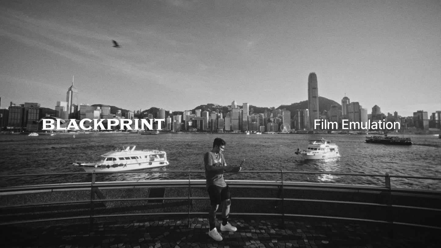 BlackPrint B&W Film Emulation LUTs