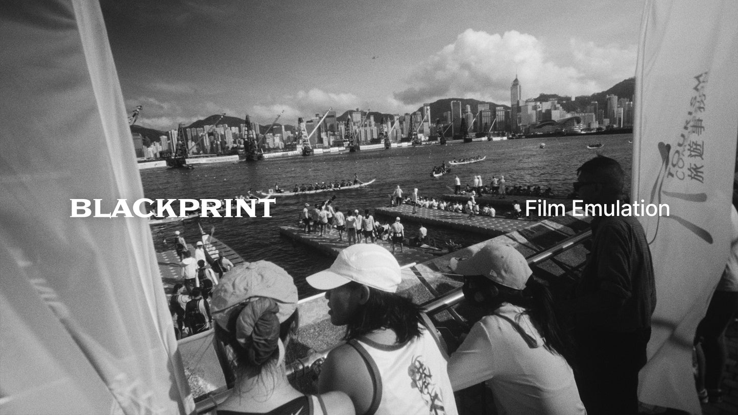 BlackPrint B&W Film Emulation PowerGrade