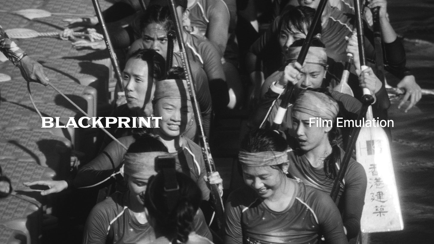 BlackPrint B&W Film Emulation PowerGrade