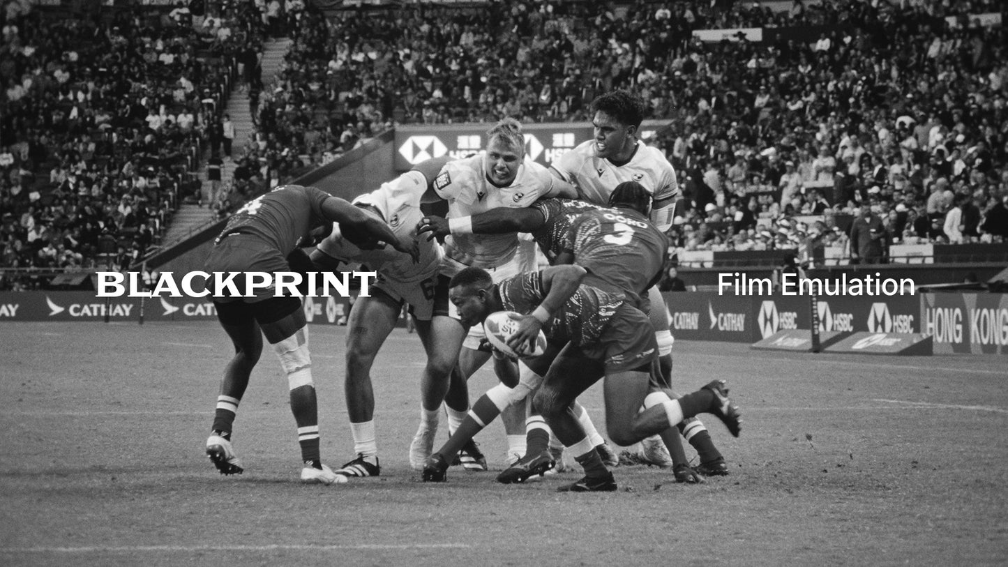BlackPrint B&W Film Emulation PowerGrade