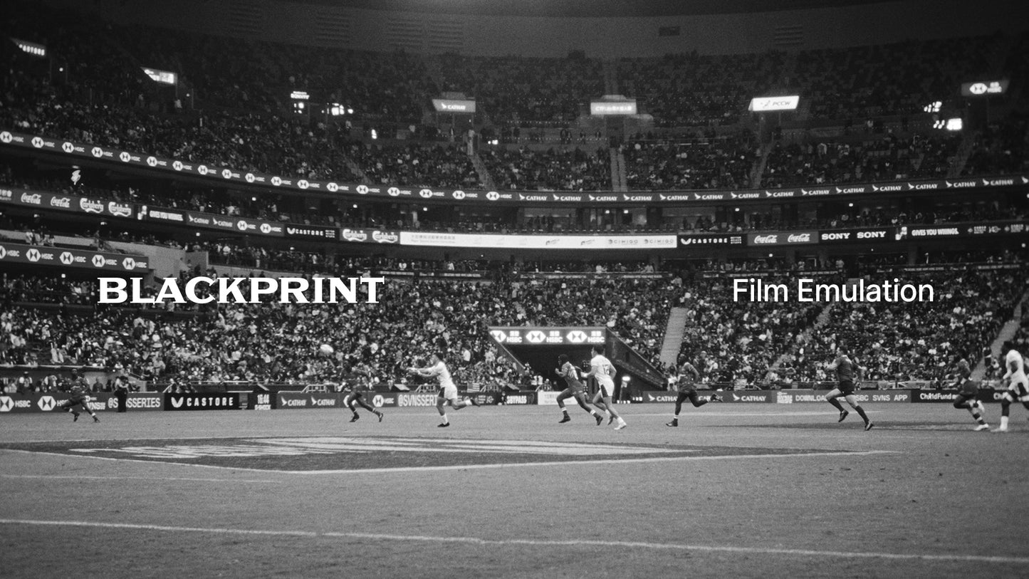 BlackPrint B&W Film Emulation PowerGrade