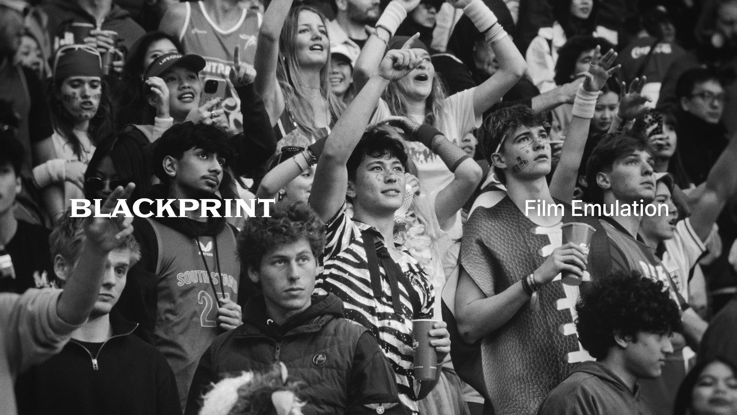 BlackPrint B&W Film Emulation PowerGrade
