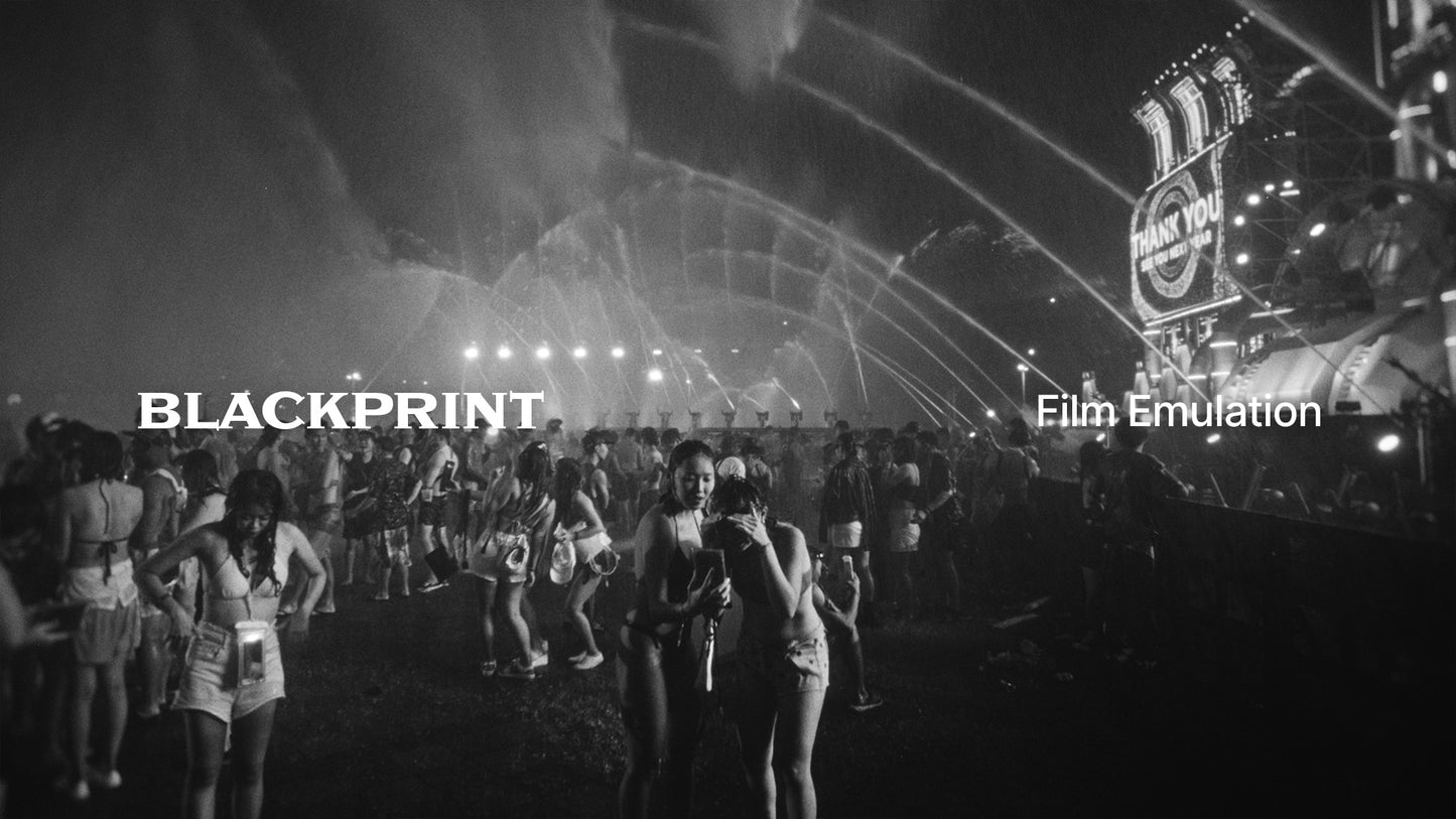 BlackPrint B&W Film Emulation PowerGrade