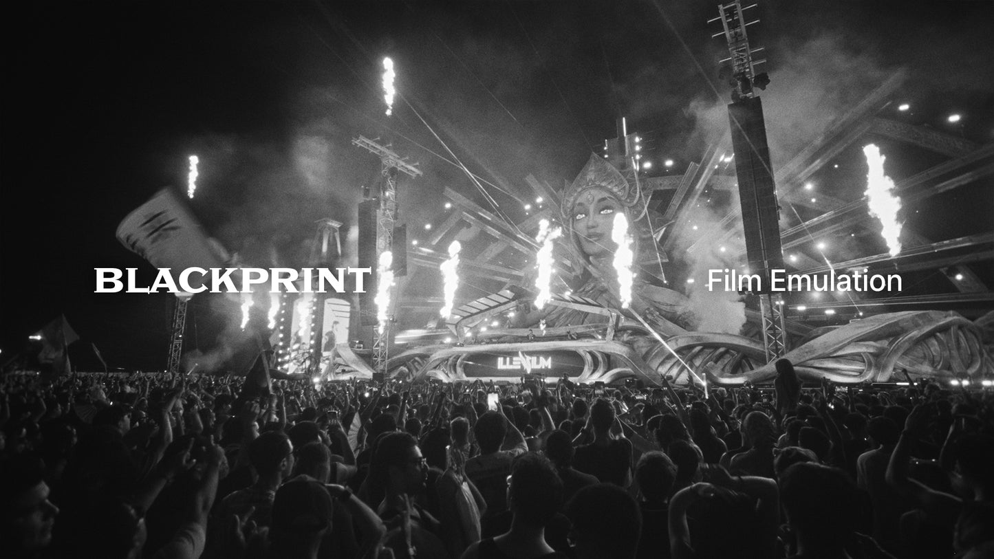 BlackPrint B&W Film Emulation PowerGrade