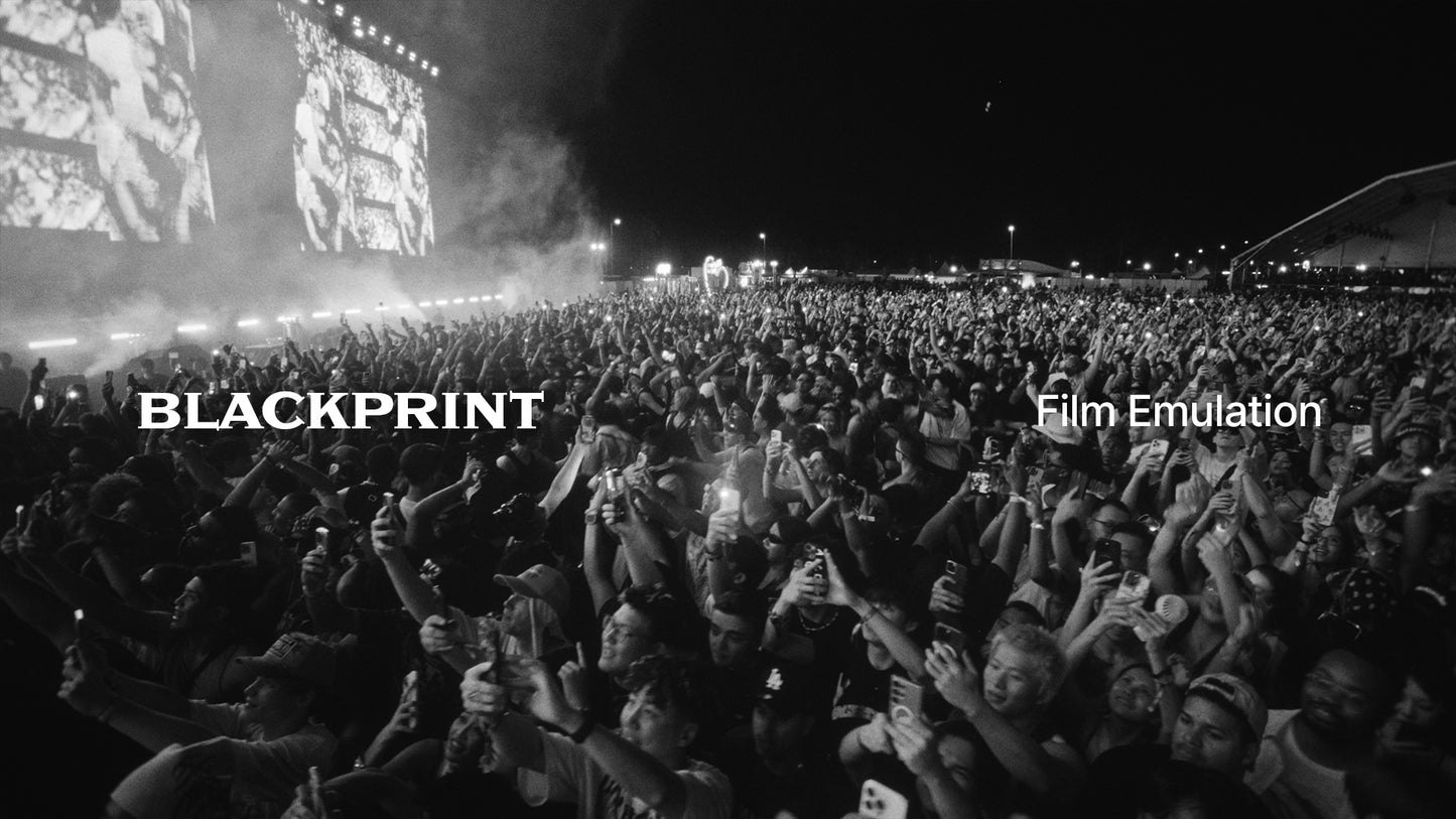 BlackPrint B&W Film Emulation PowerGrade