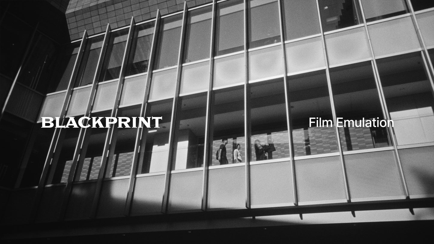 BlackPrint B&W Film Emulation PowerGrade