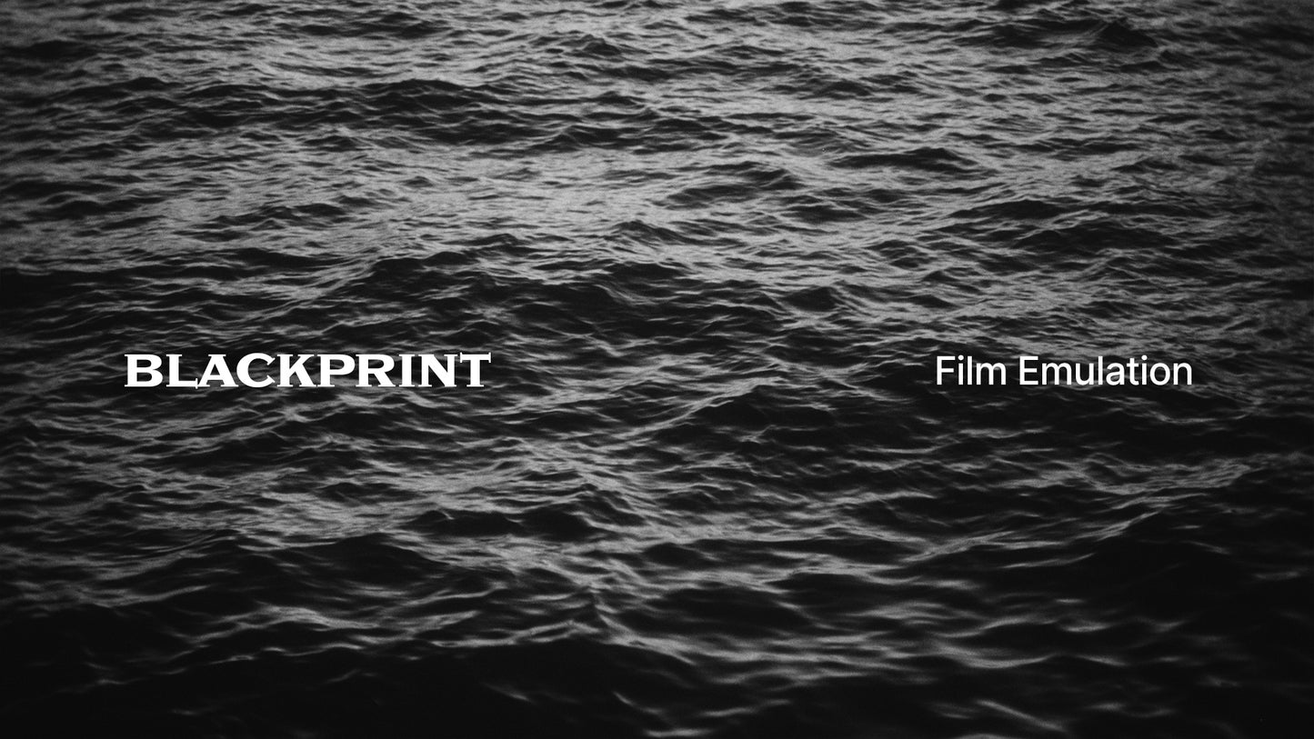 BlackPrint B&W Film Emulation PowerGrade