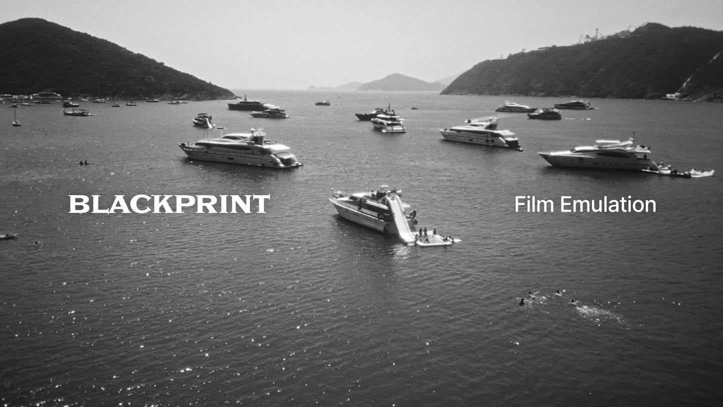 BlackPrint B&W Film Emulation PowerGrade