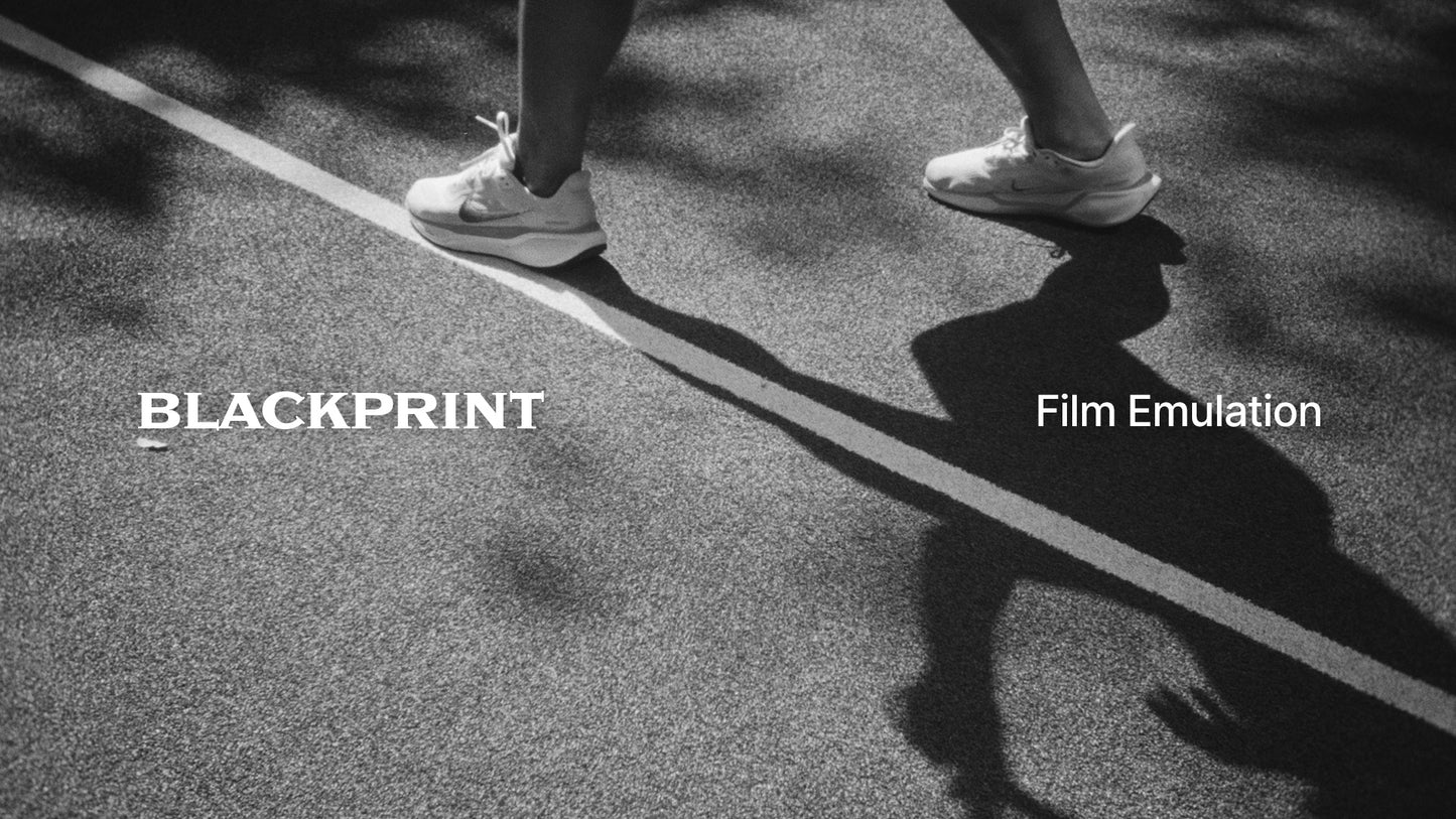 BlackPrint B&W Film Emulation PowerGrade