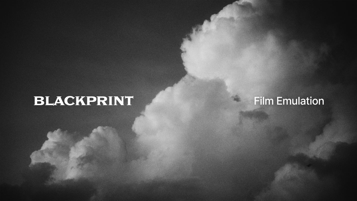 BlackPrint B&W Film Emulation PowerGrade