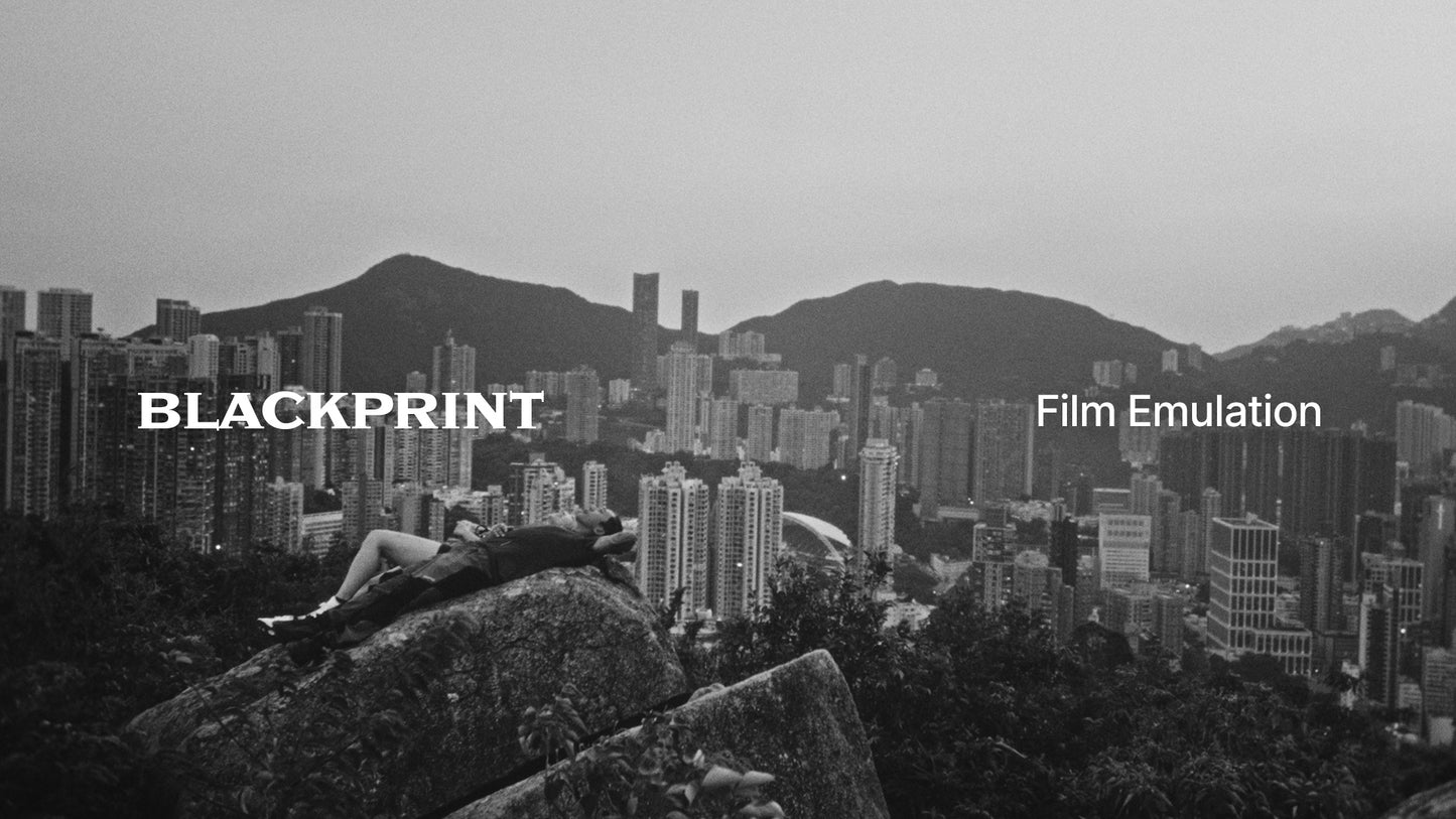 BlackPrint B&W Film Emulation PowerGrade