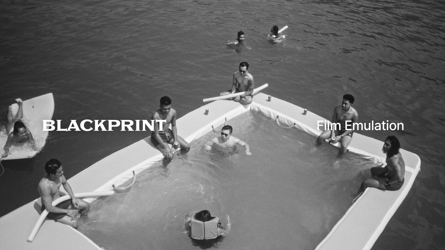 BlackPrint B&W Film Emulation PowerGrade