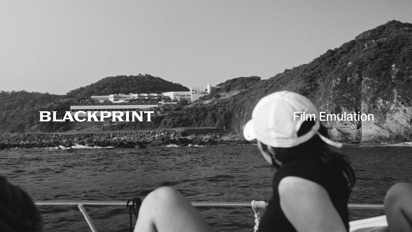 BlackPrint B&W Film Emulation PowerGrade