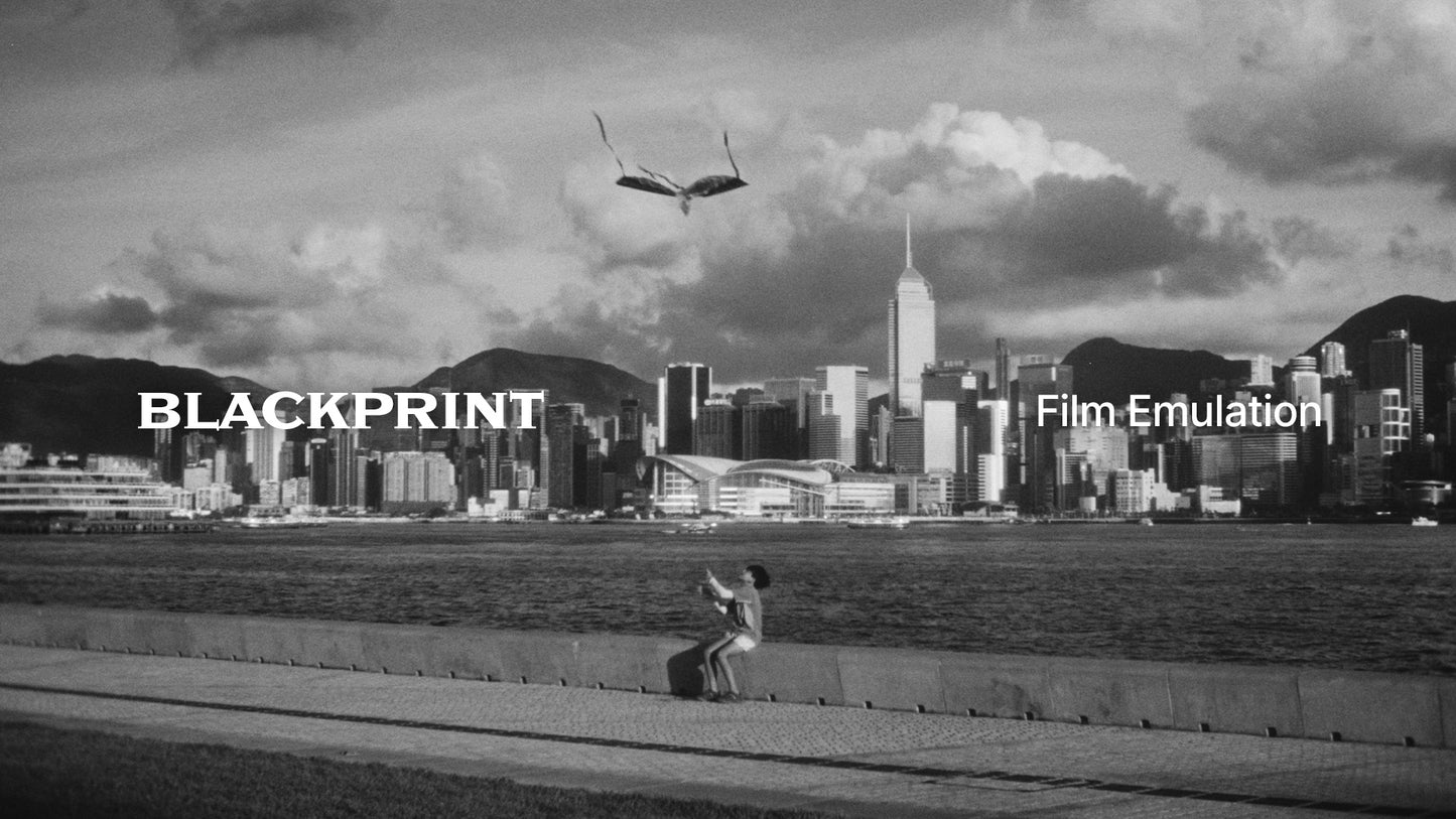BlackPrint B&W Film Emulation PowerGrade