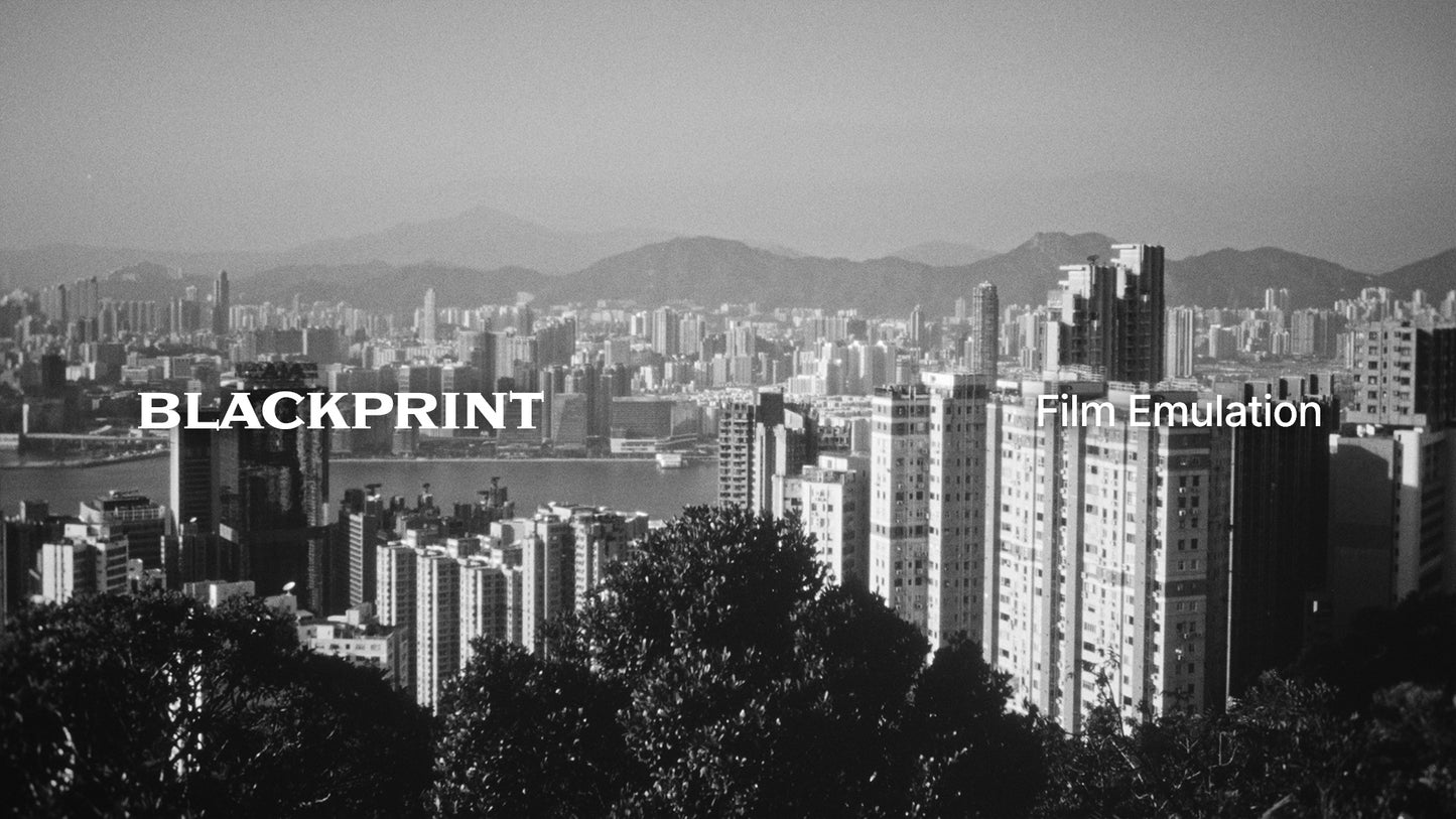 BlackPrint B&W Film Emulation PowerGrade