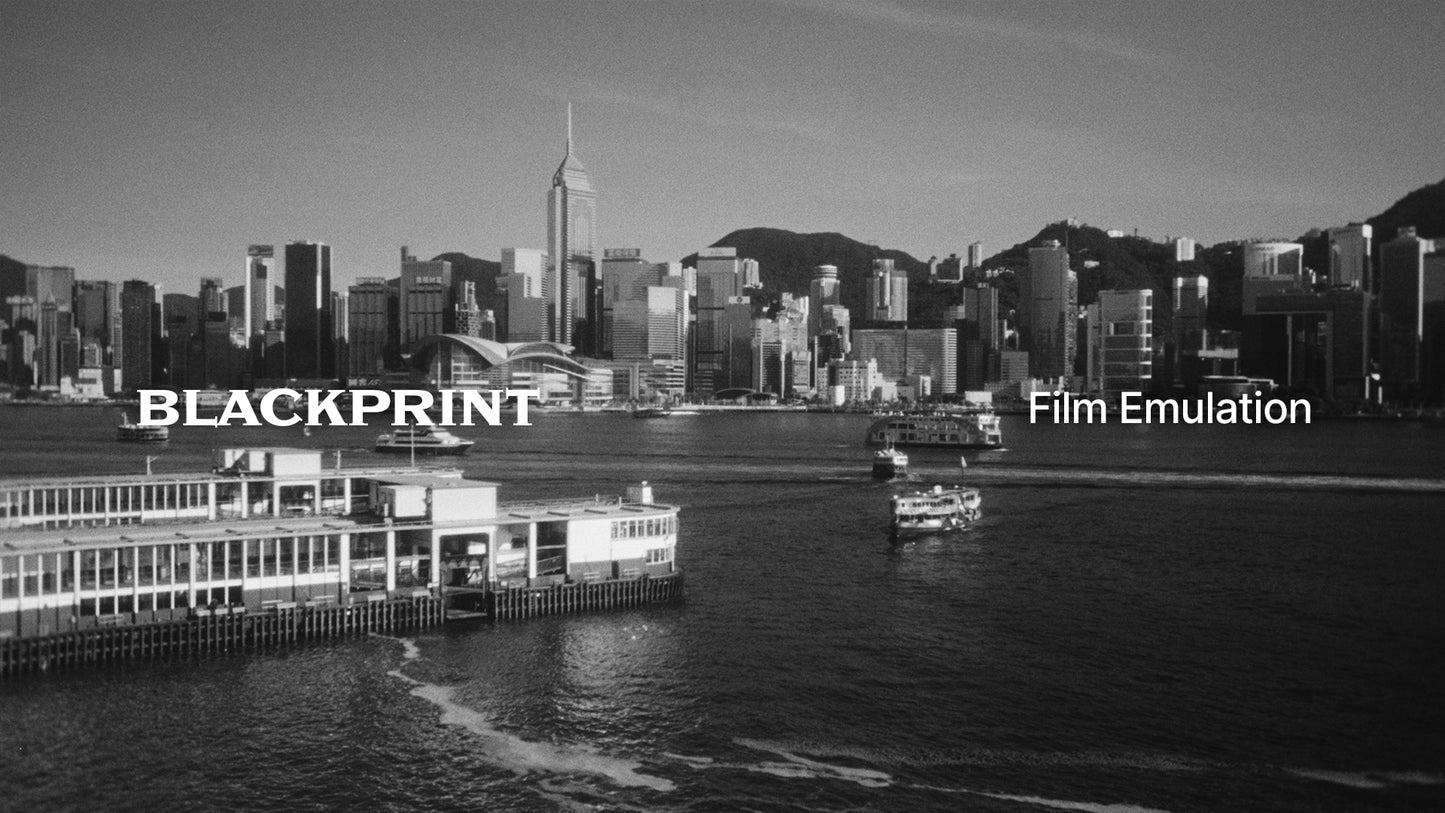 BlackPrint B&W Film Emulation PowerGrade