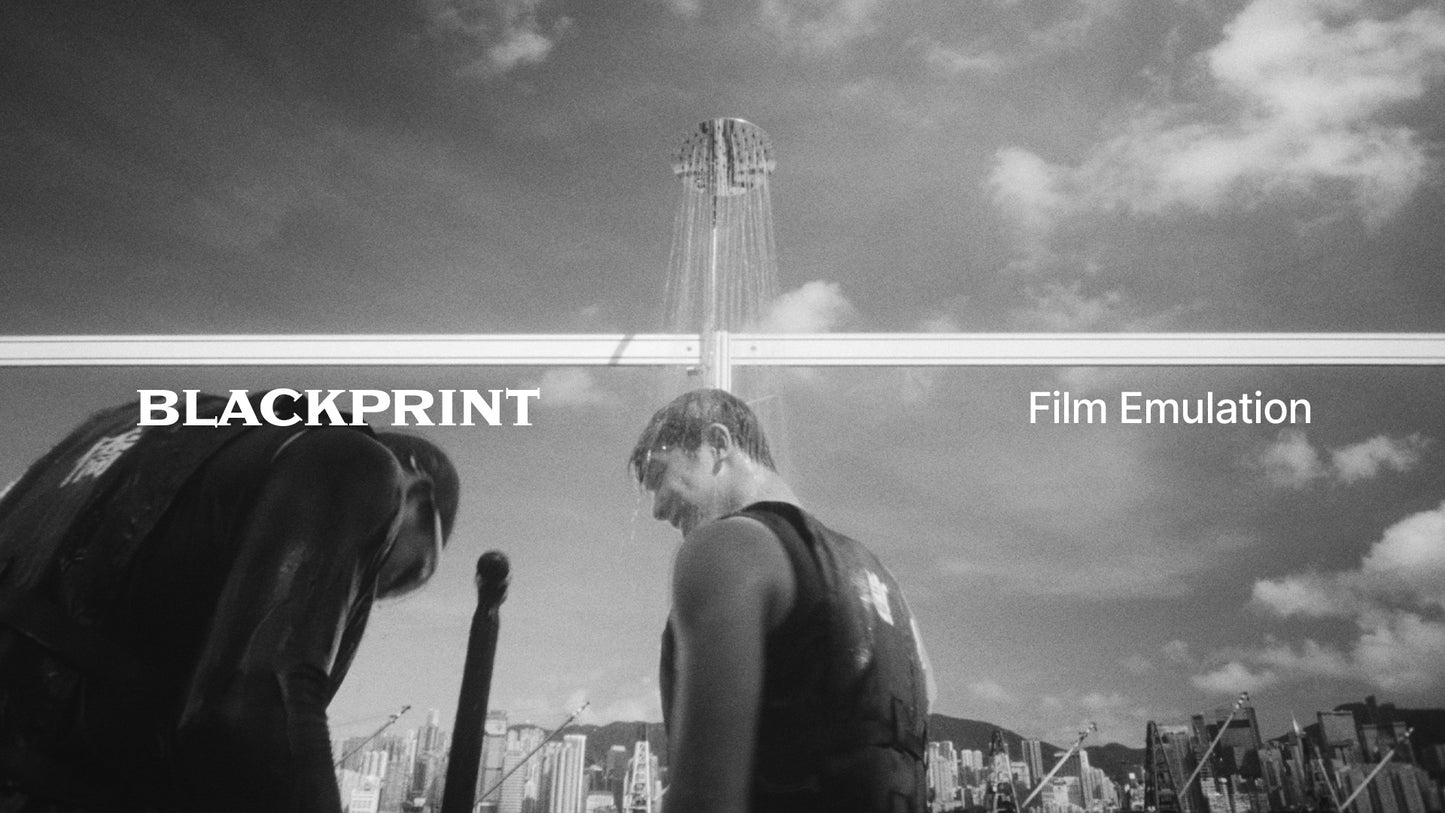 BlackPrint B&W Film Emulation PowerGrade