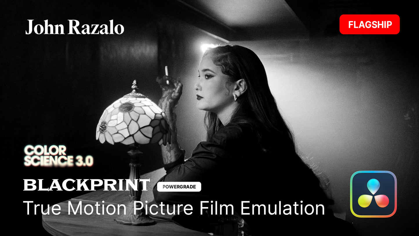 BlackPrint B&W Film Emulation PowerGrade