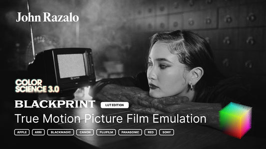 BlackPrint B&W Film Emulation LUTs