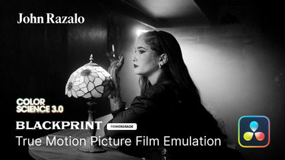 BlackPrint B&W Film Emulation PowerGrade