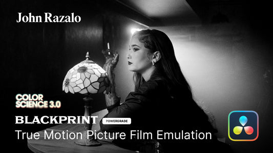 BlackPrint B&W Film Emulation PowerGrade