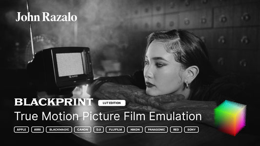 BlackPrint B&W Film Emulation LUTs (COLOR SCIENCE 3.5)