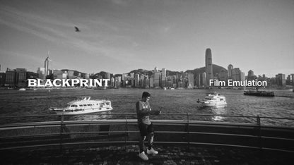 BlackPrint B&W Film Emulation LUTs