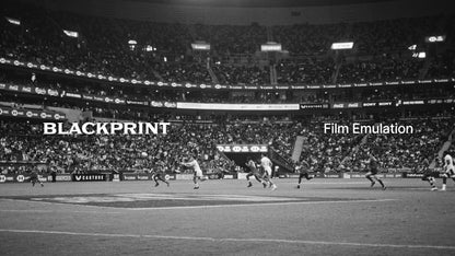 BlackPrint B&W Film Emulation LUTs
