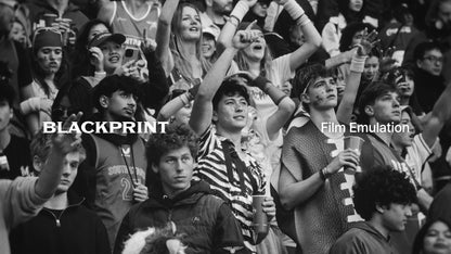 BlackPrint B&W Film Emulation LUTs