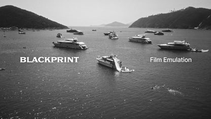 BlackPrint B&W Film Emulation LUTs