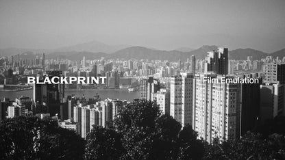 BlackPrint B&W Film Emulation LUTs
