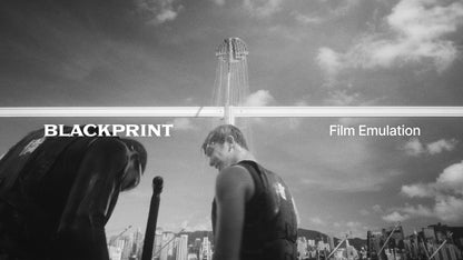 BlackPrint B&W Film Emulation LUTs