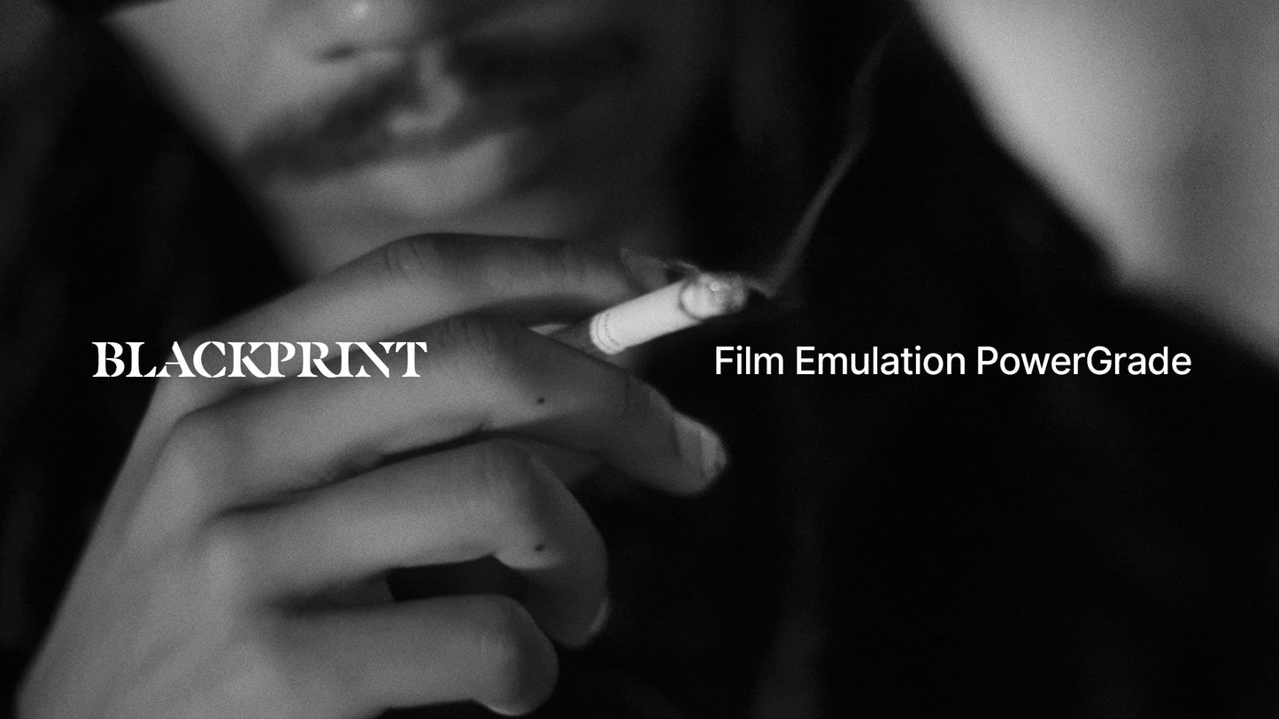 BlackPrint B&W Film Emulation PowerGrade