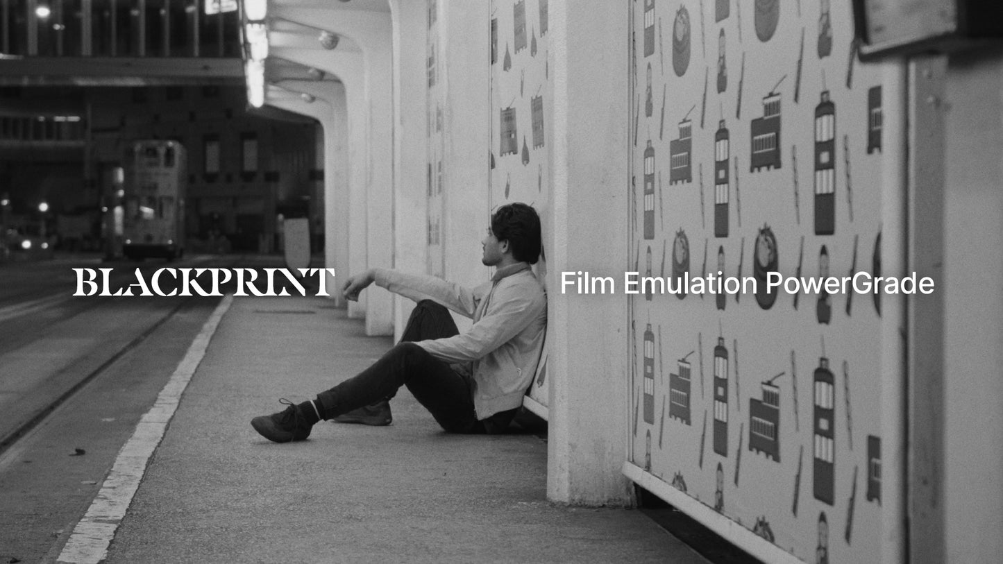 BlackPrint B&W Film Emulation PowerGrade