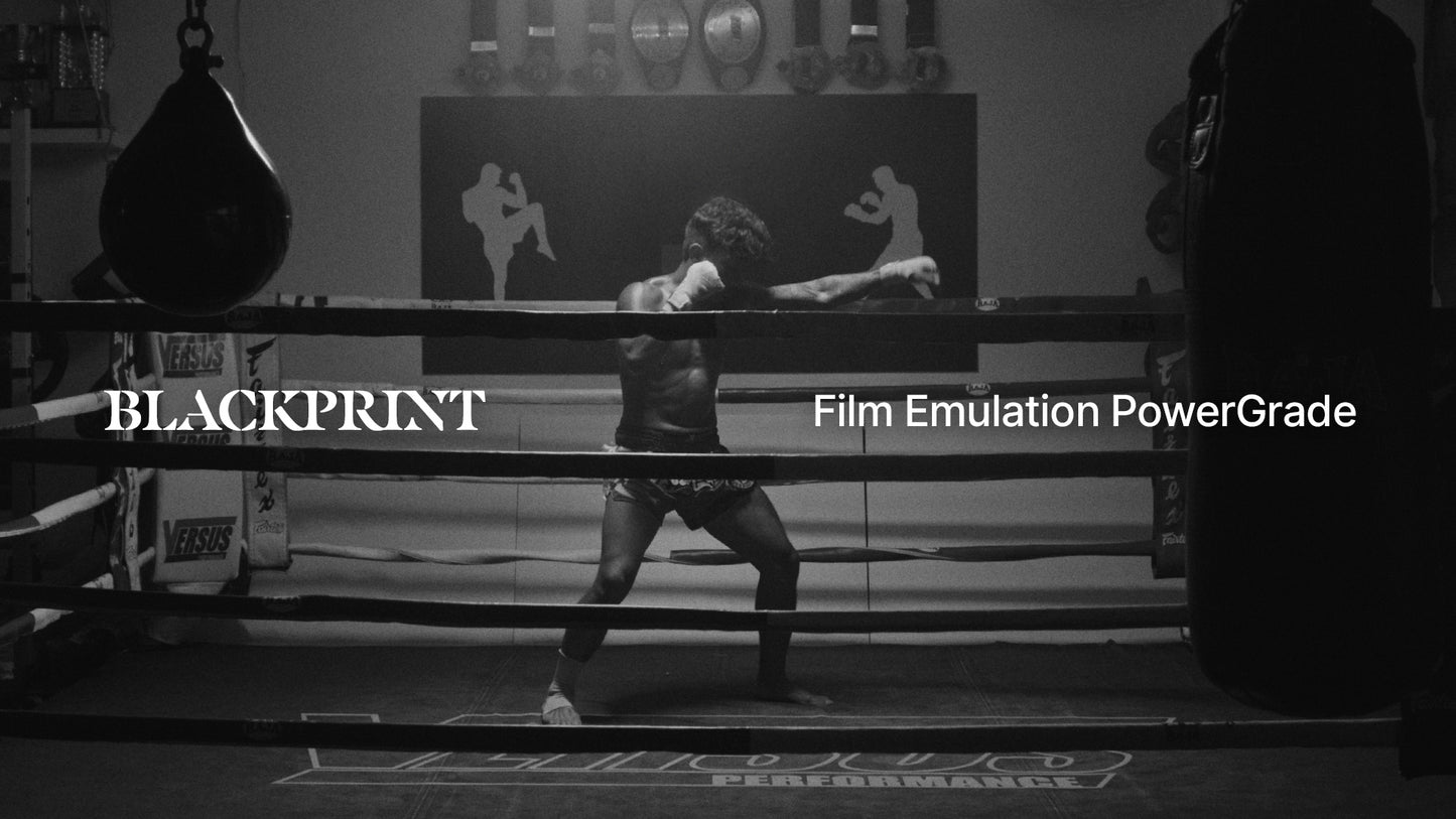 BlackPrint B&W Film Emulation PowerGrade