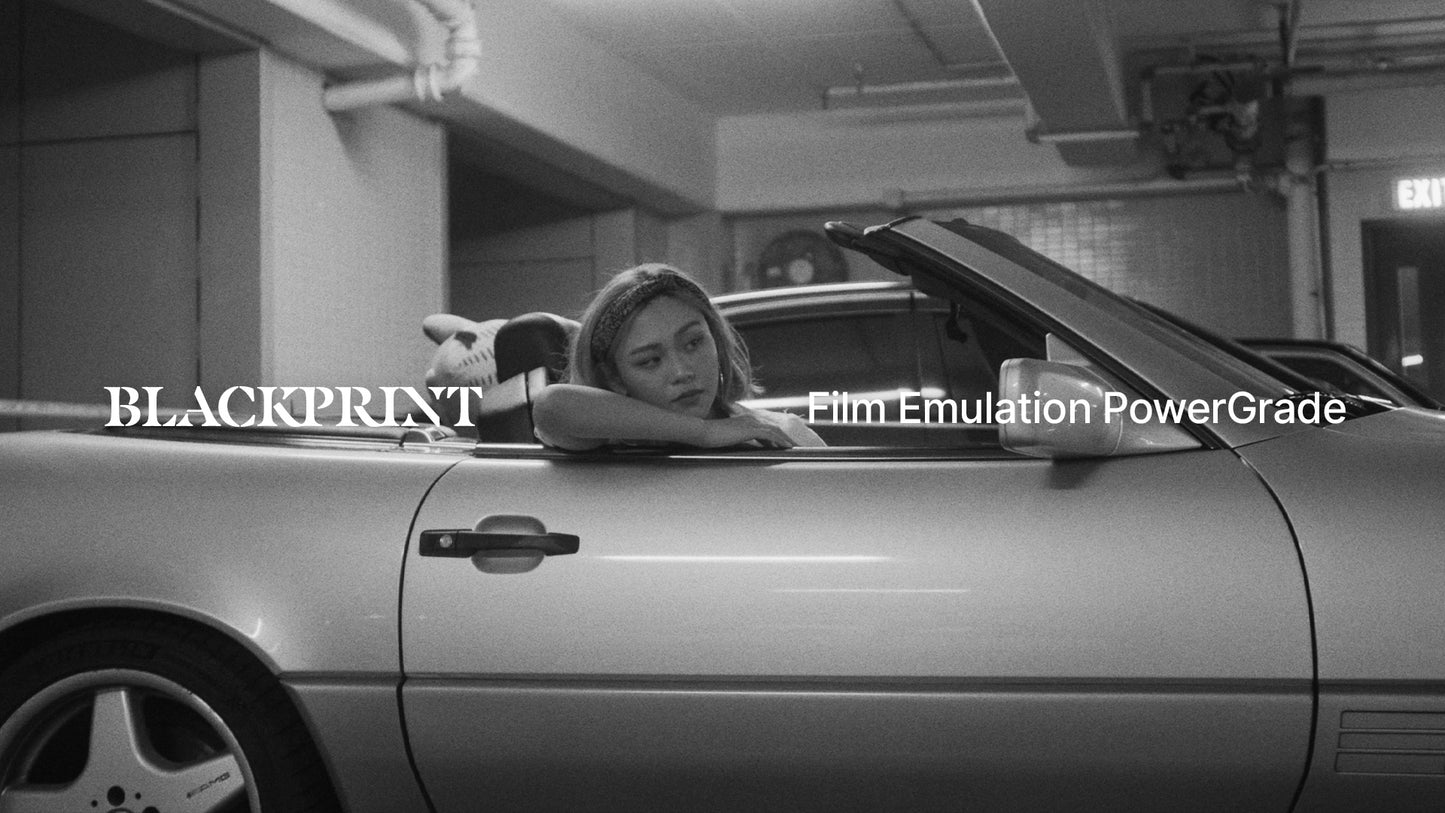 BlackPrint B&W Film Emulation PowerGrade