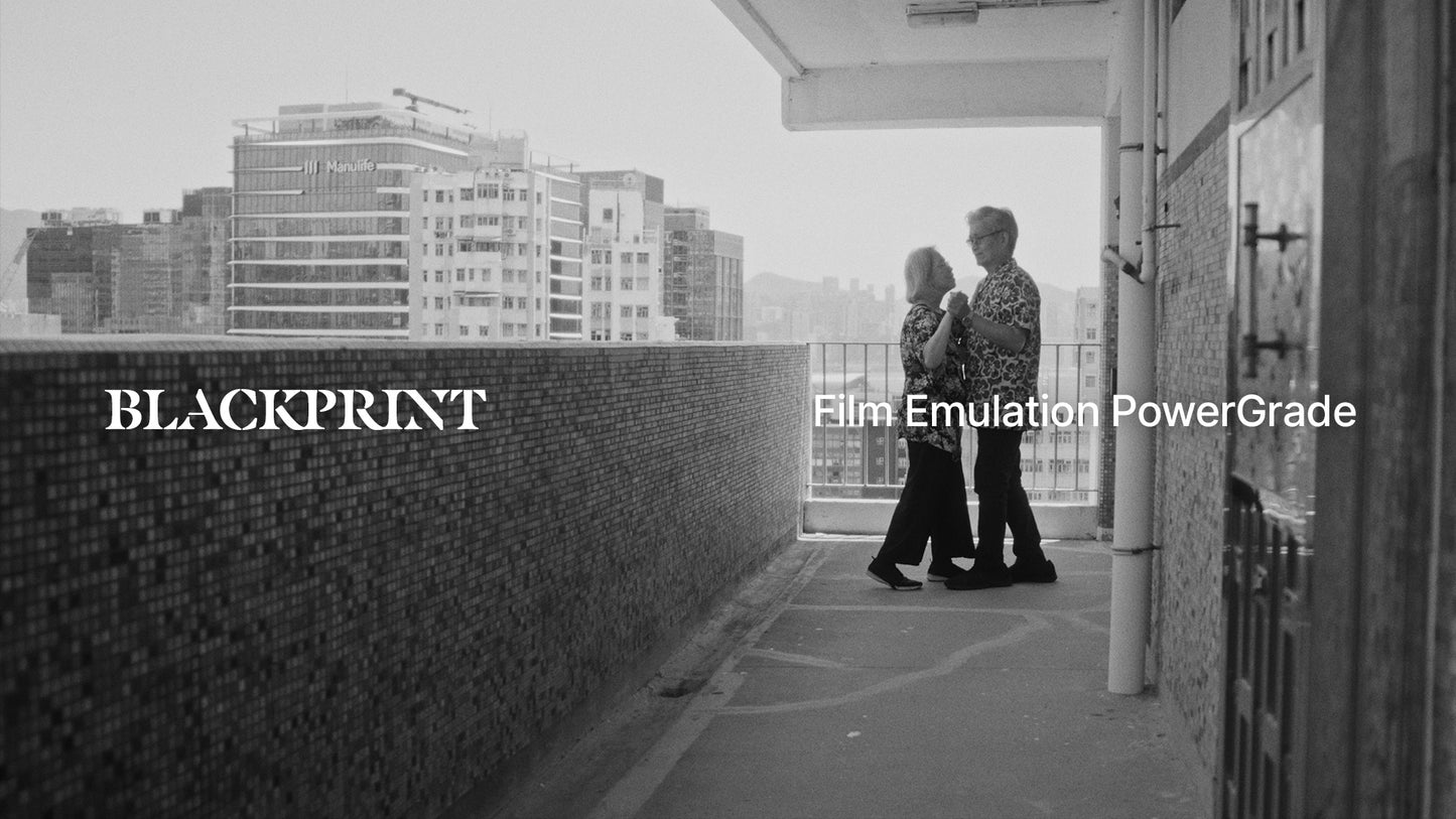 BlackPrint B&W Film Emulation PowerGrade